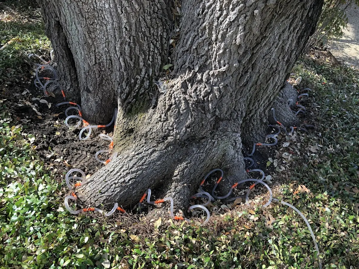 Detailed Shrub and Hedge Trimming job site in Pawnee