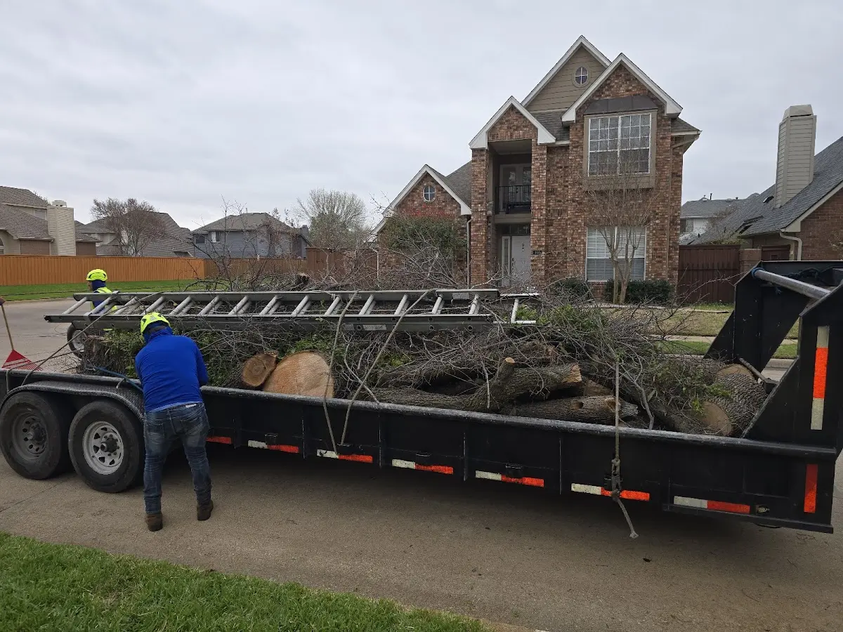 Expert Lot Clearing with proper safety equipment in Pawnee